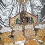 Vraj-Yatra-2014- (792)